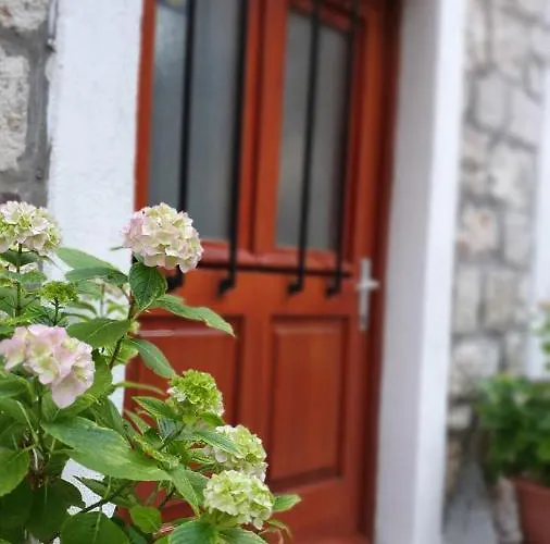 스튜디오 토니 *